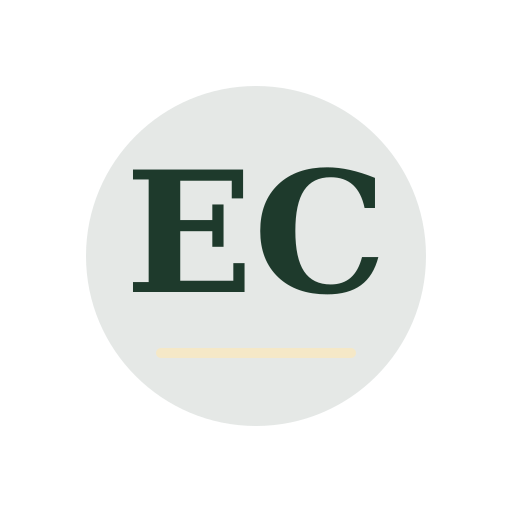 Elin Chimney Repair logo